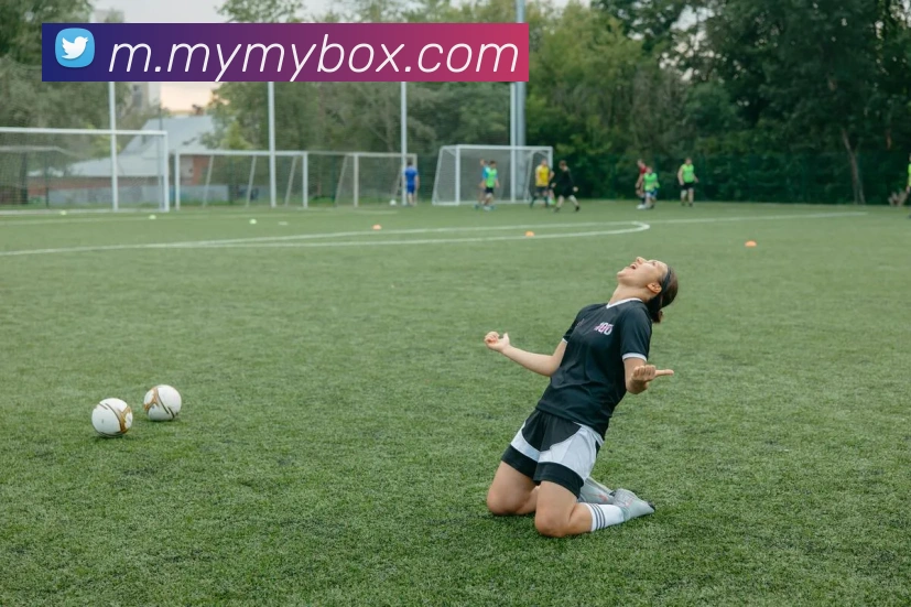 米兰体育服务体系