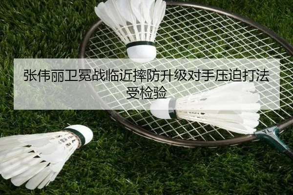 张伟丽卫冕战临近摔防升级对手压迫打法受检验 - MiLanSports